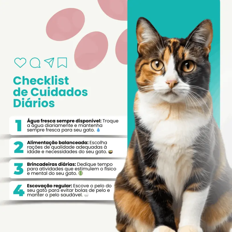 Checklist do seu gato