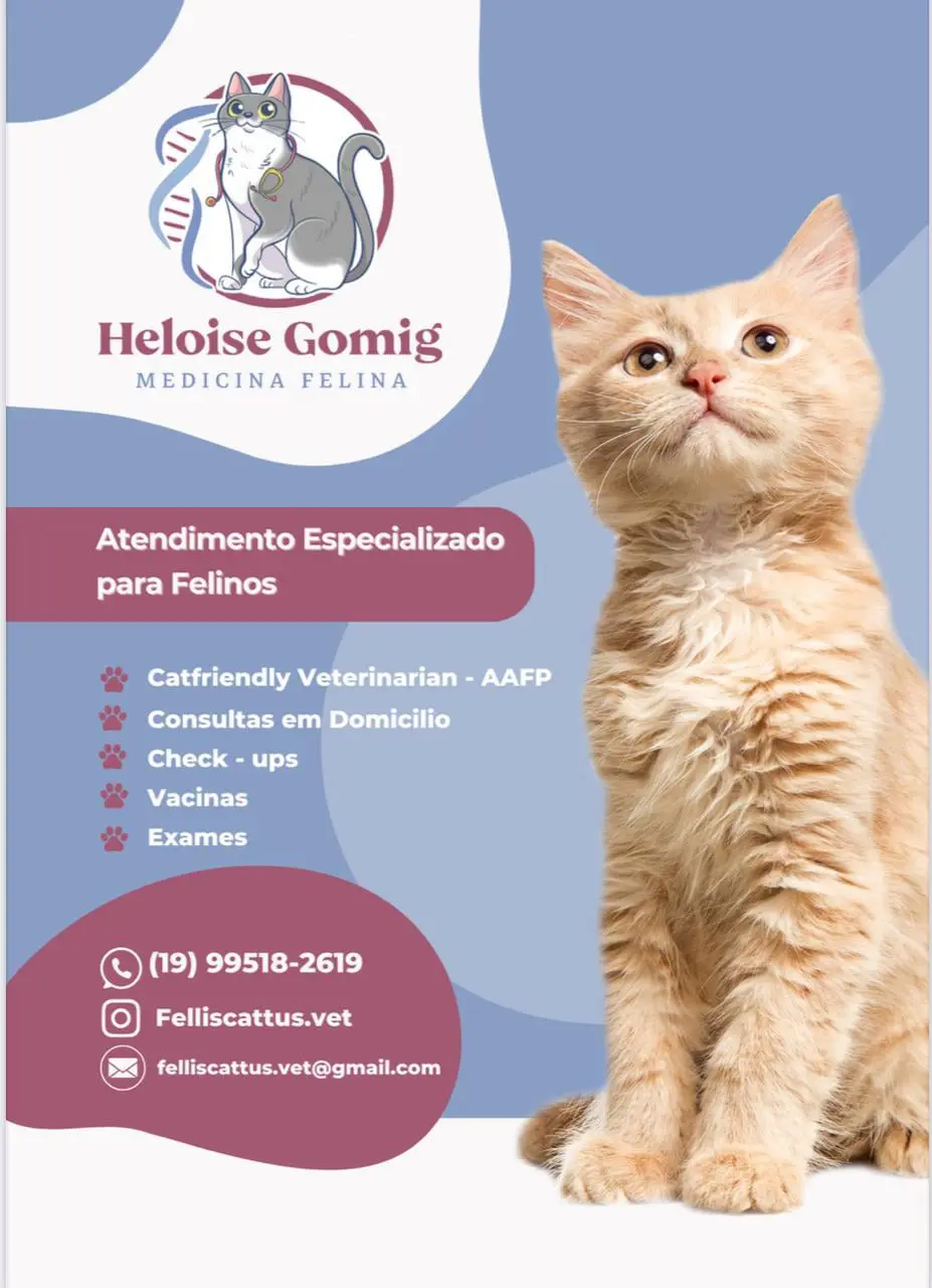 Descubra a Felliscattus