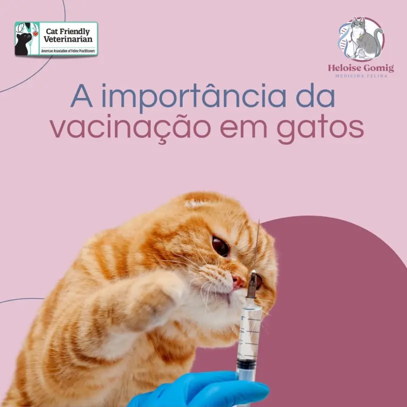 Vacine o seu gato